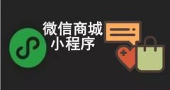 小程序分銷和微信分銷哪個好？你的選擇是？