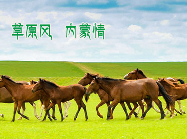 內(nèi)蒙古恒大旅游網(wǎng)（PC端）